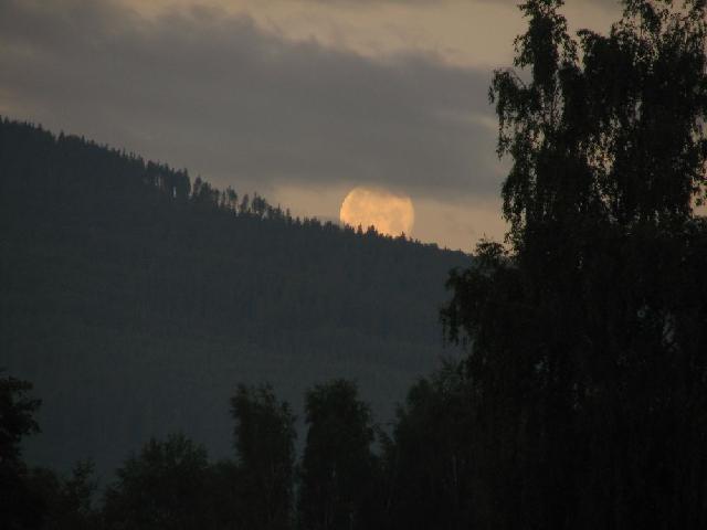 Vltava 2008 > obr (20)